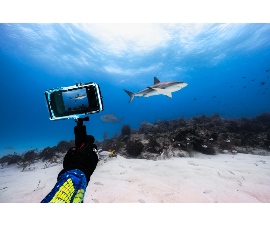 ProShot Dive Compatible with ALL iPhone Models with Floating Hand Grip
